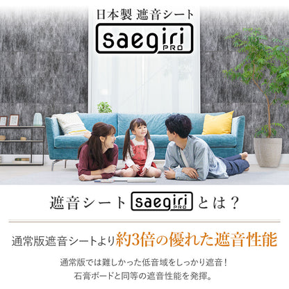 日本製 遮音シート「saegiriPRO」30cm×30cm 3mm厚 面密度 約6.3kg/㎡【12枚/24枚/48枚】